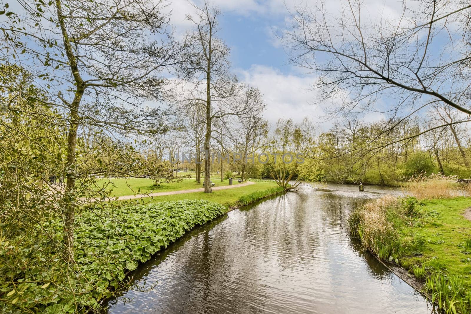 the river in the park, with trees and grass on either side stock photo - 1239876