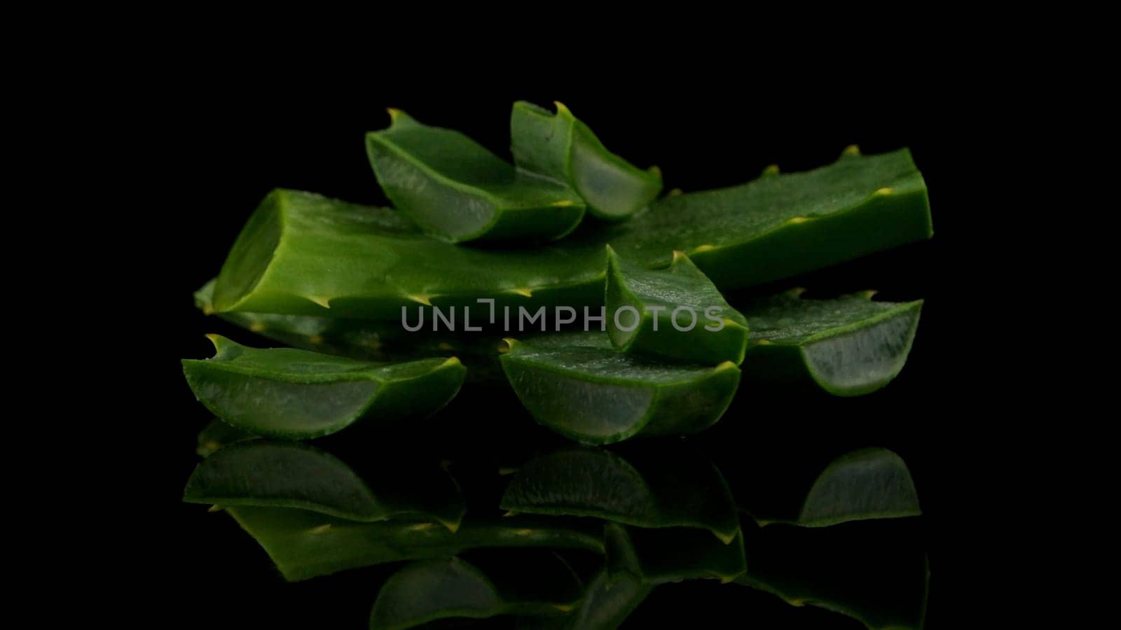 Sliced aloe leaf by homydesign