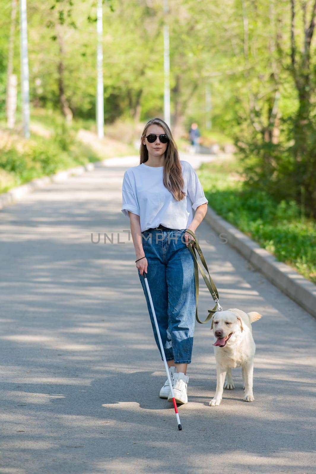 Blind woman walking with guide dog in the park