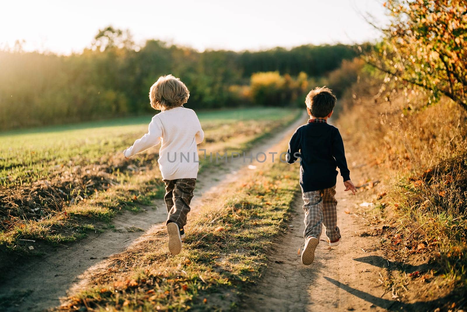 Little happy boys twins cheerfully running countryside road. Childhood, warm autumn, family. 4 years old kids frolics on country nature. Ecological life outside city. High quality