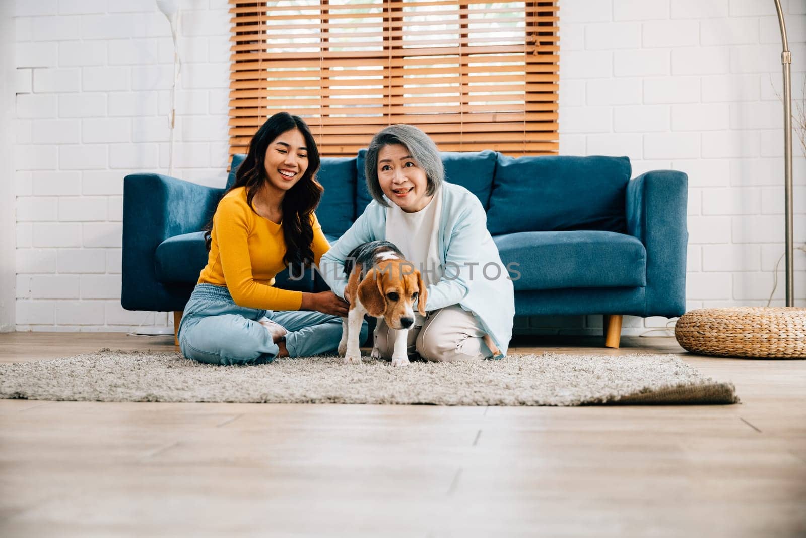 Active and healthy, A woman and her mother have fun with their Beagle dog, running near the sofa in their comfortable living room. It's a weekend leisure activity filled with happiness. pet love by Sorapop