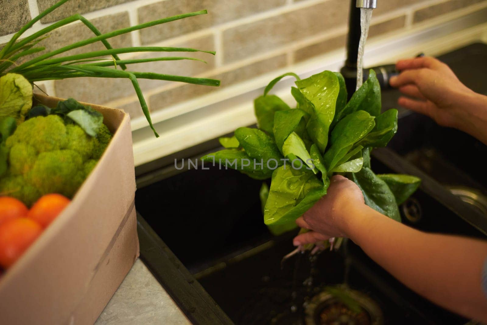 Close-up view. Details on of woman's hands washing fresh organic spinach leaves under flowing water in the kitchen sink. Healthy eating, slimming and diet concept