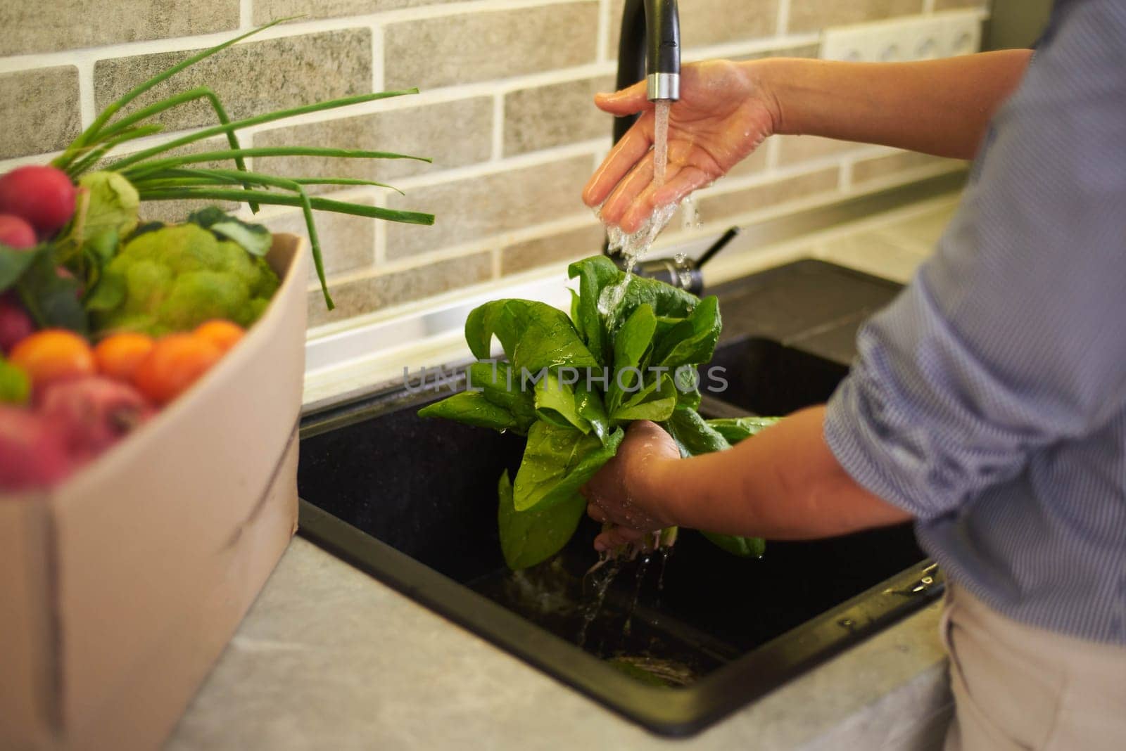 Close-up of hands of a housewife, unrecognizable woman standing by kitchen counter and washing fresh organic spinach leaves under flowing water in the kitchen sink. Sustainability. Healthy lifestyle