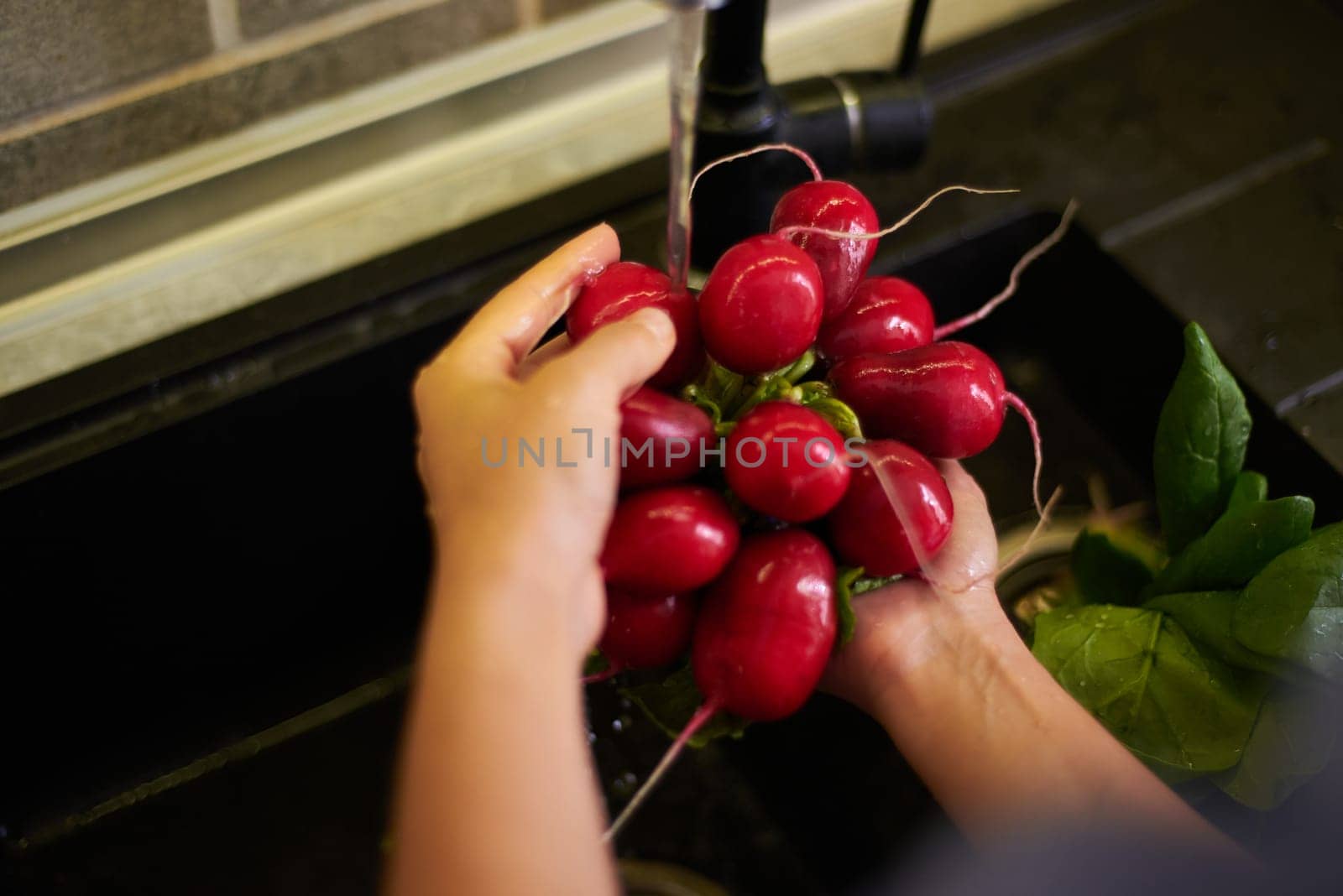 Overhead view. Hands of housewife, unrecognizable woman standing by kitchen counter and washing fresh organic radish under flowing water in the kitchen sink. Sustainability. Healthy lifestyle