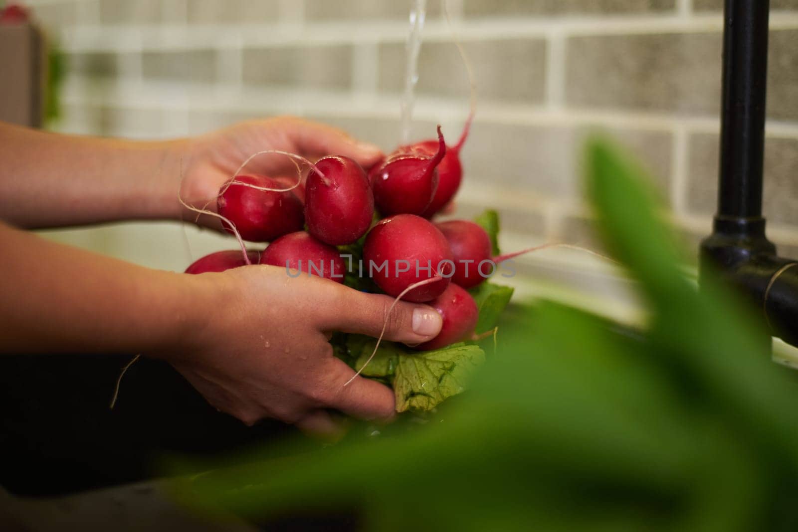 Healthy food, proper nutrition, slimming and dieting concept. Sustainable lifestyle. Organic food. Close-up view of hands washing fresh radish in the sink under flowing water. Side view