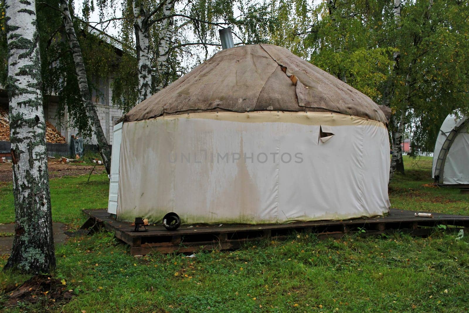 Photo of a yurt among birches in the forest. The dwelling. Tent.Nomadic peoples.