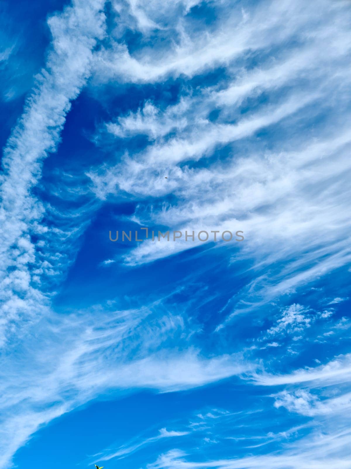 Stunning cirrus cloud formation panorama in a deep blue sky by MP_foto71