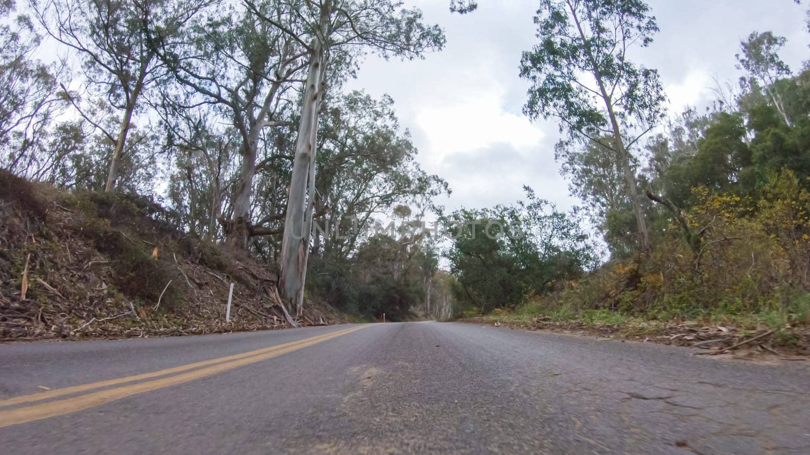 In this serene winter scene, a vehicle carefully makes its way along Los Osos Valley Road and Pecho Valley Road within Montana de Oro State Park.