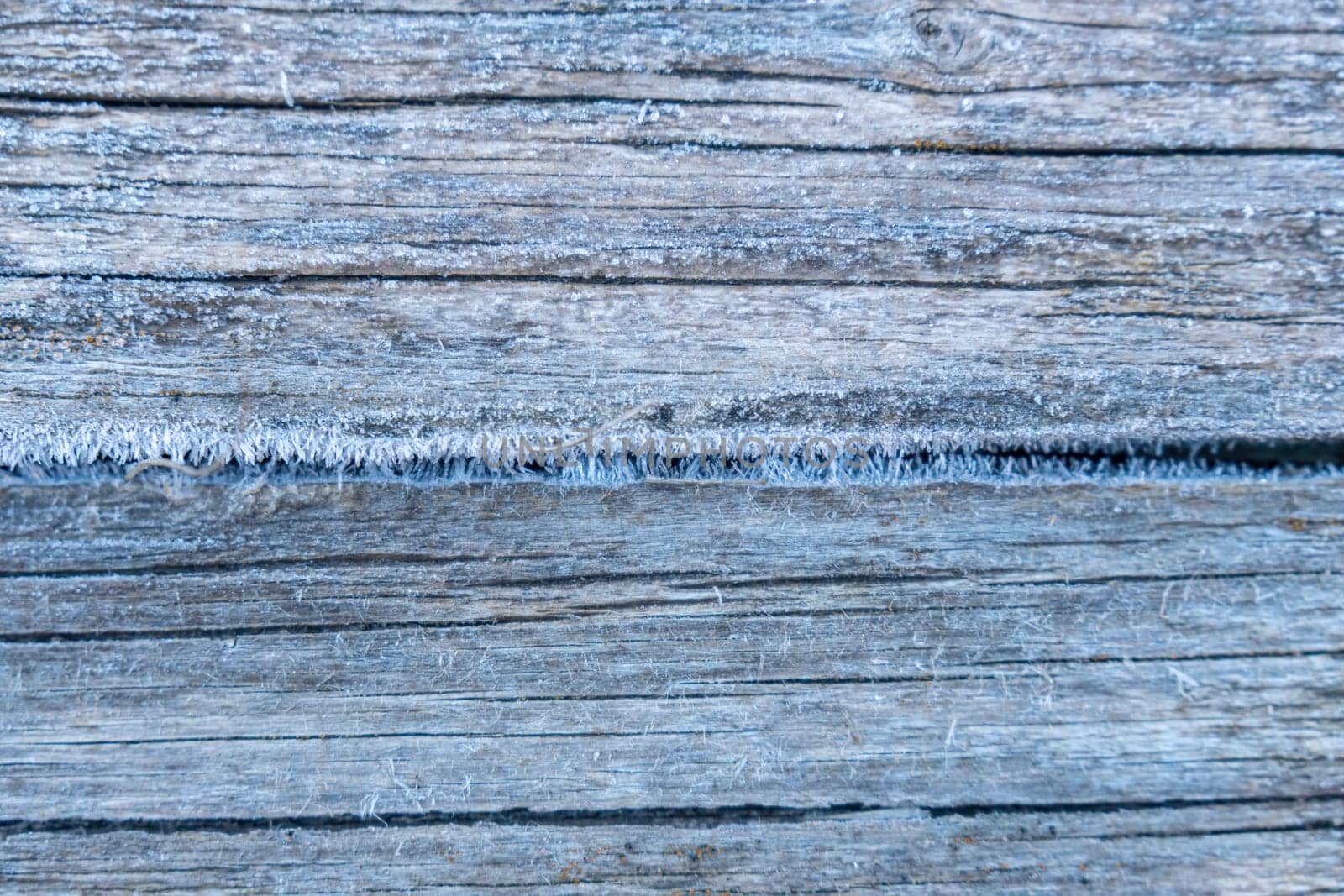 Pale faded brown and cool blue reclaimed pine wood surface with aged boards lined up. Weathered wooden planks on a wall or floor texture. Neutral stained vintage wood background. Freezing weather. by panophotograph