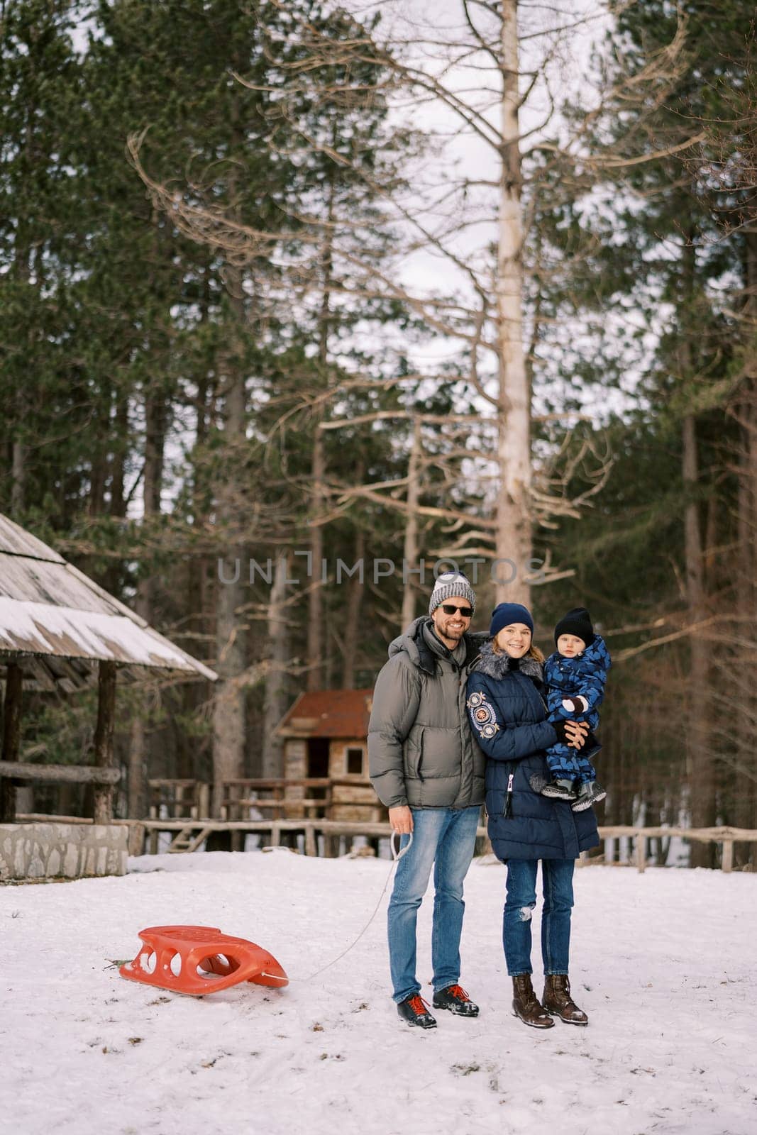 Smiling dad with sled stands hugging mom with a little boy in her arms in a snowy forest. High quality photo
