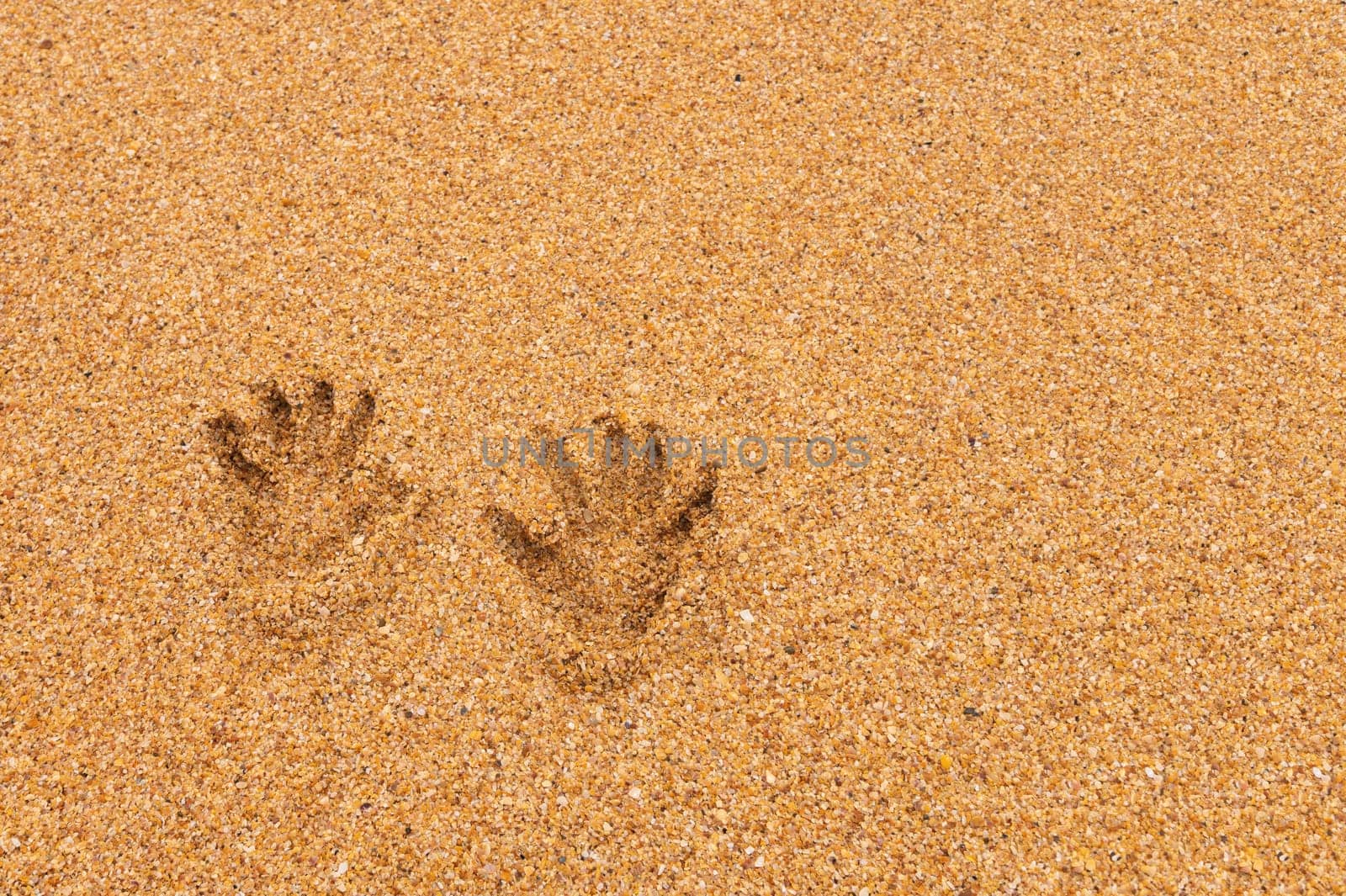 Prints of women's hands on golden sea sand. Sea holiday concept.