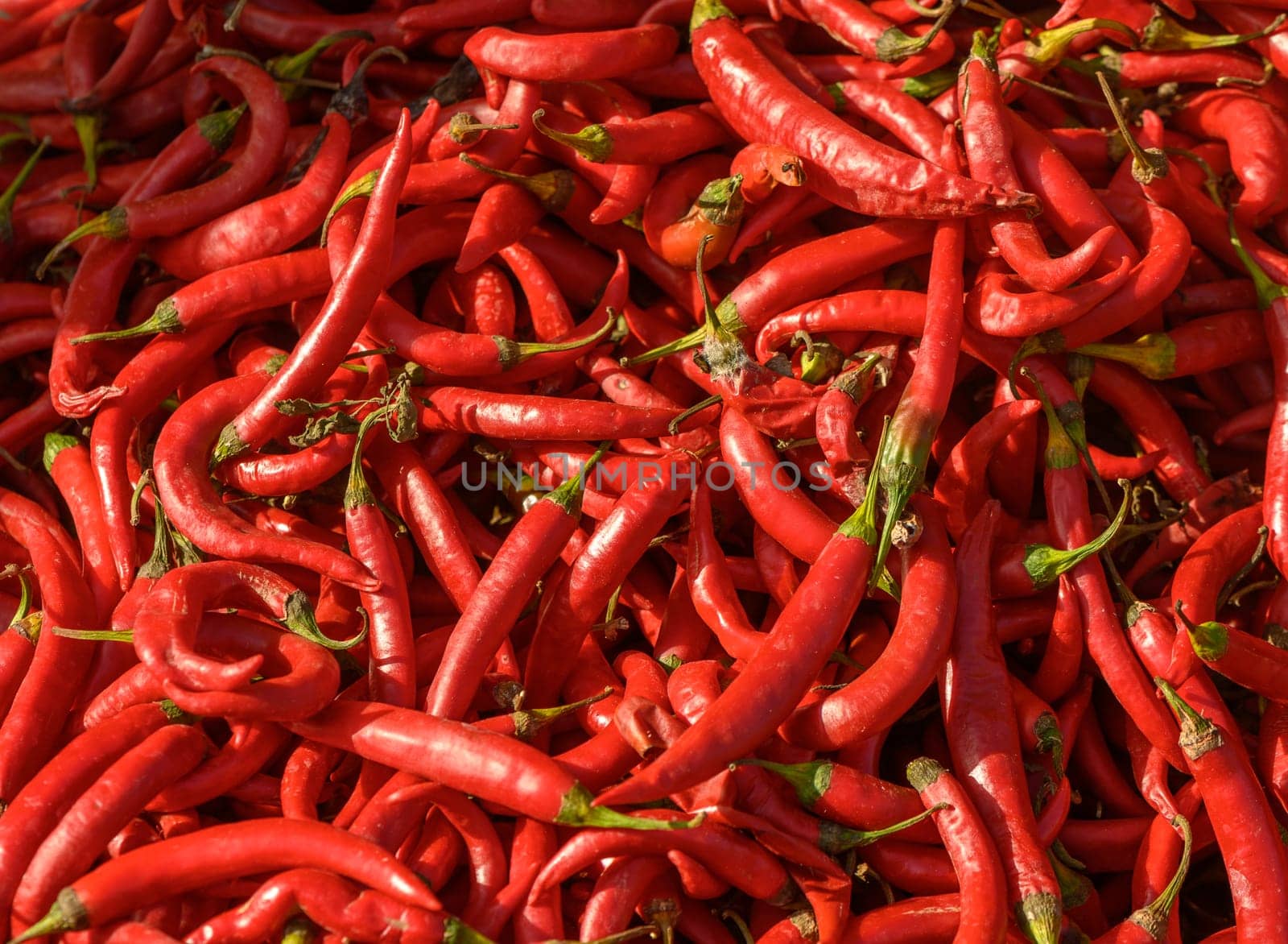 fresh appetizing red hot pepper at the bazaar on the island of Cyprus in autumn