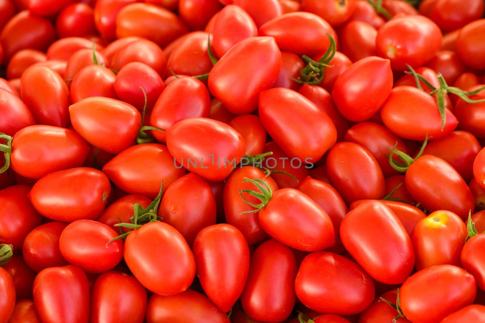 juicy tomatoes at the local market 1 by Mixa74