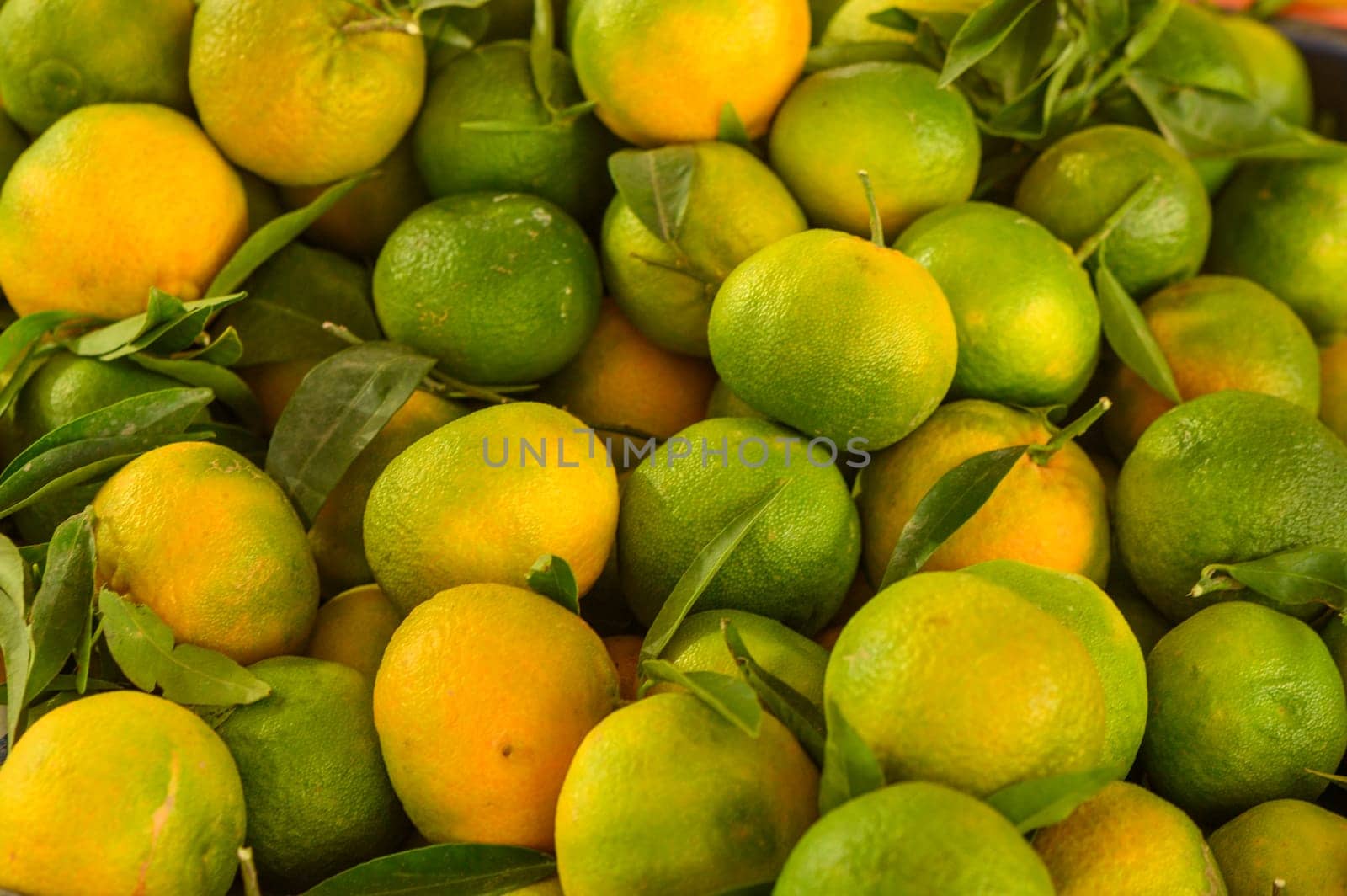 fresh appetizing tangerines at the bazaar on the island of Cyprus in autumn