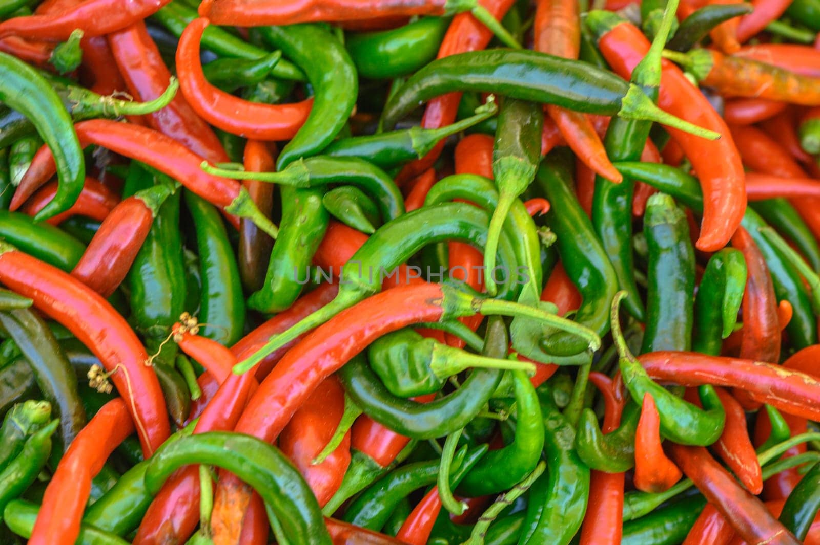 fresh appetizing red and green hot peppers at the bazaar on the island of Cyprus in autumn