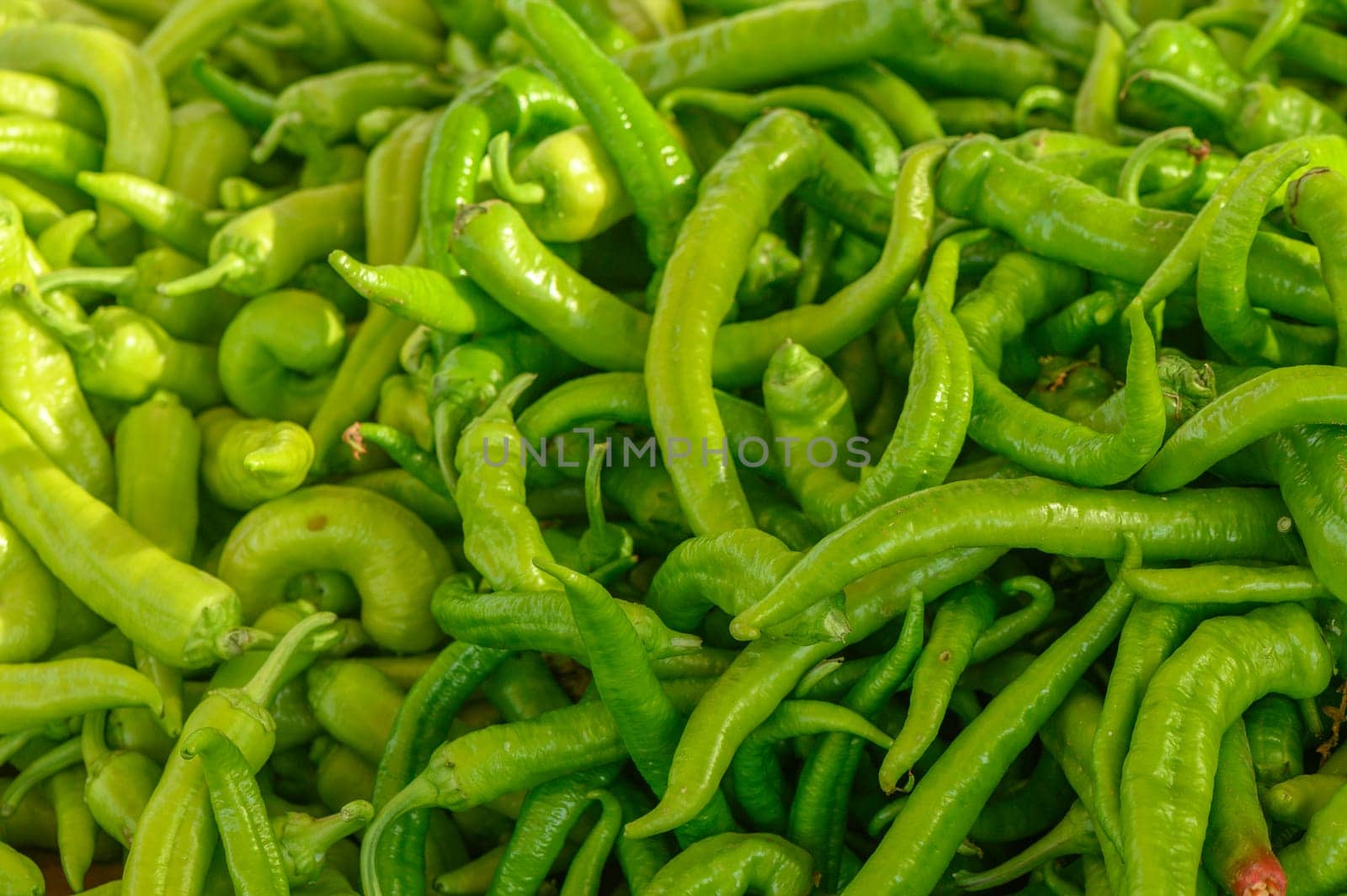 fresh green peppers at the market on the island of Cyprus in autumn