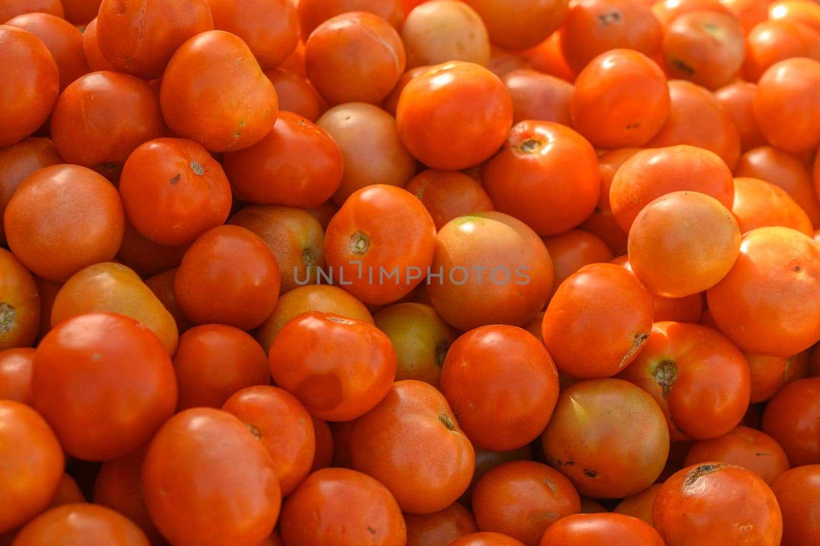 Appetizing tomatoes at the market on the island of Cyprus in autumn 1 by Mixa74