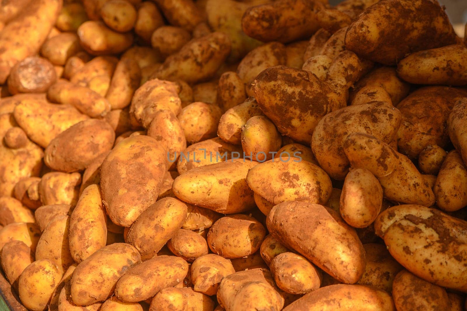 potatoes in a pile at a local market in the Mediterranean 1