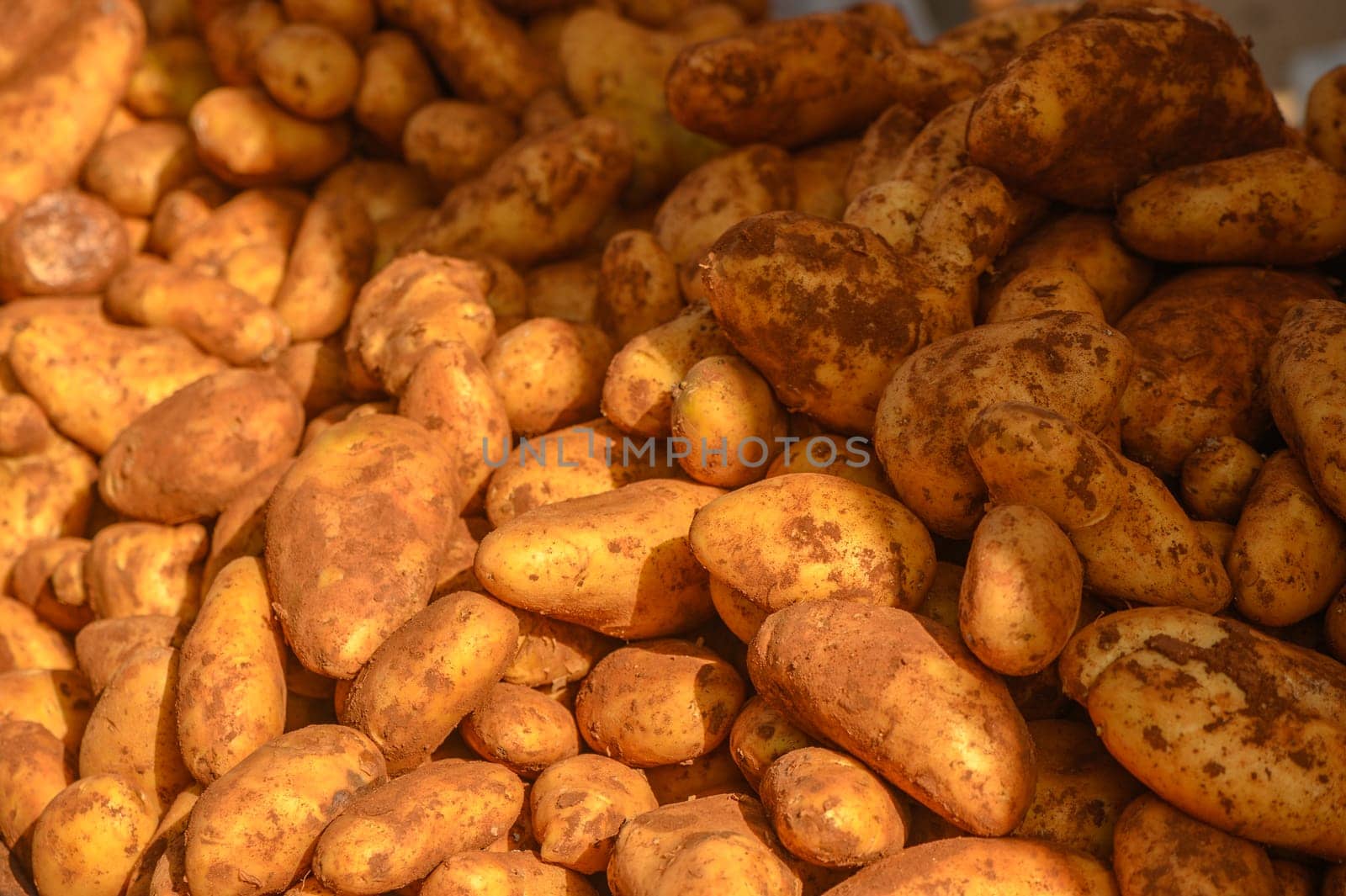 potatoes in a pile at a local market in the Mediterranean