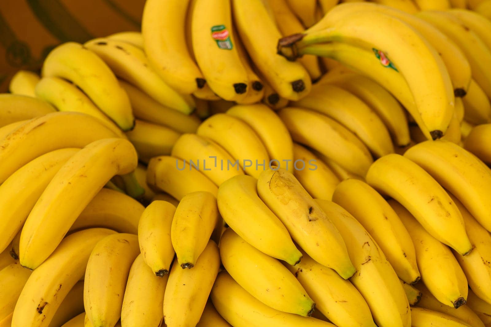 beautiful fresh bananas in a pile at a local market in the mediterranean