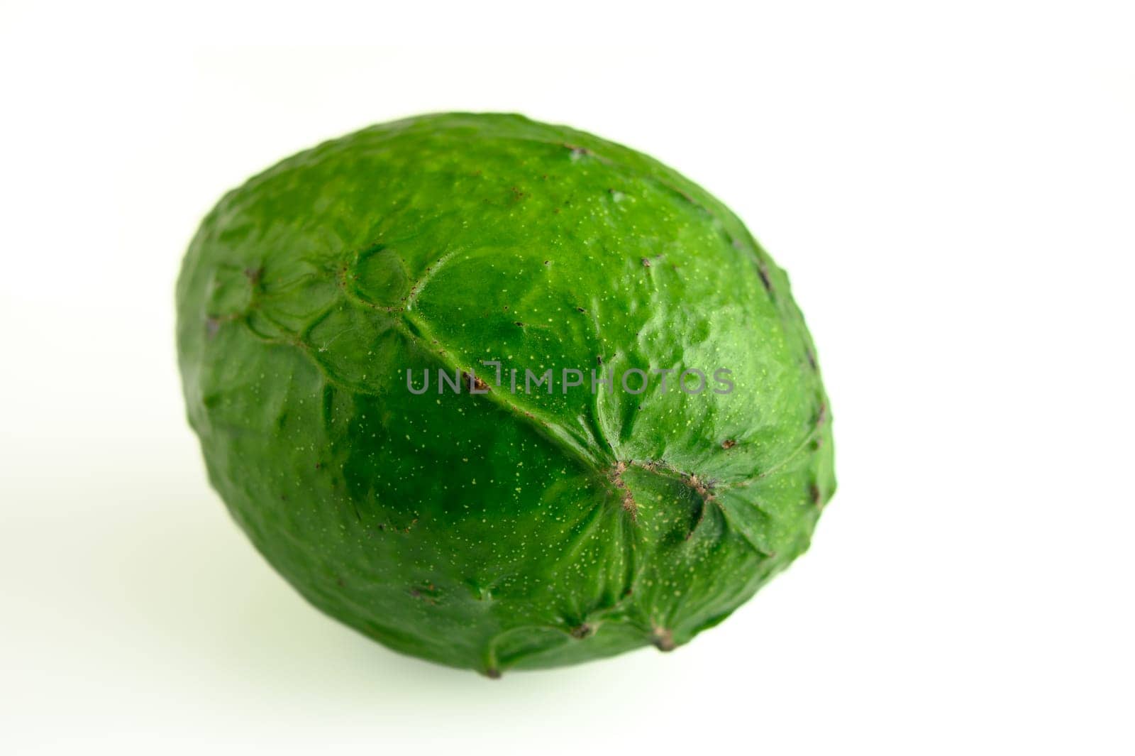 fresh avocado on white background 8