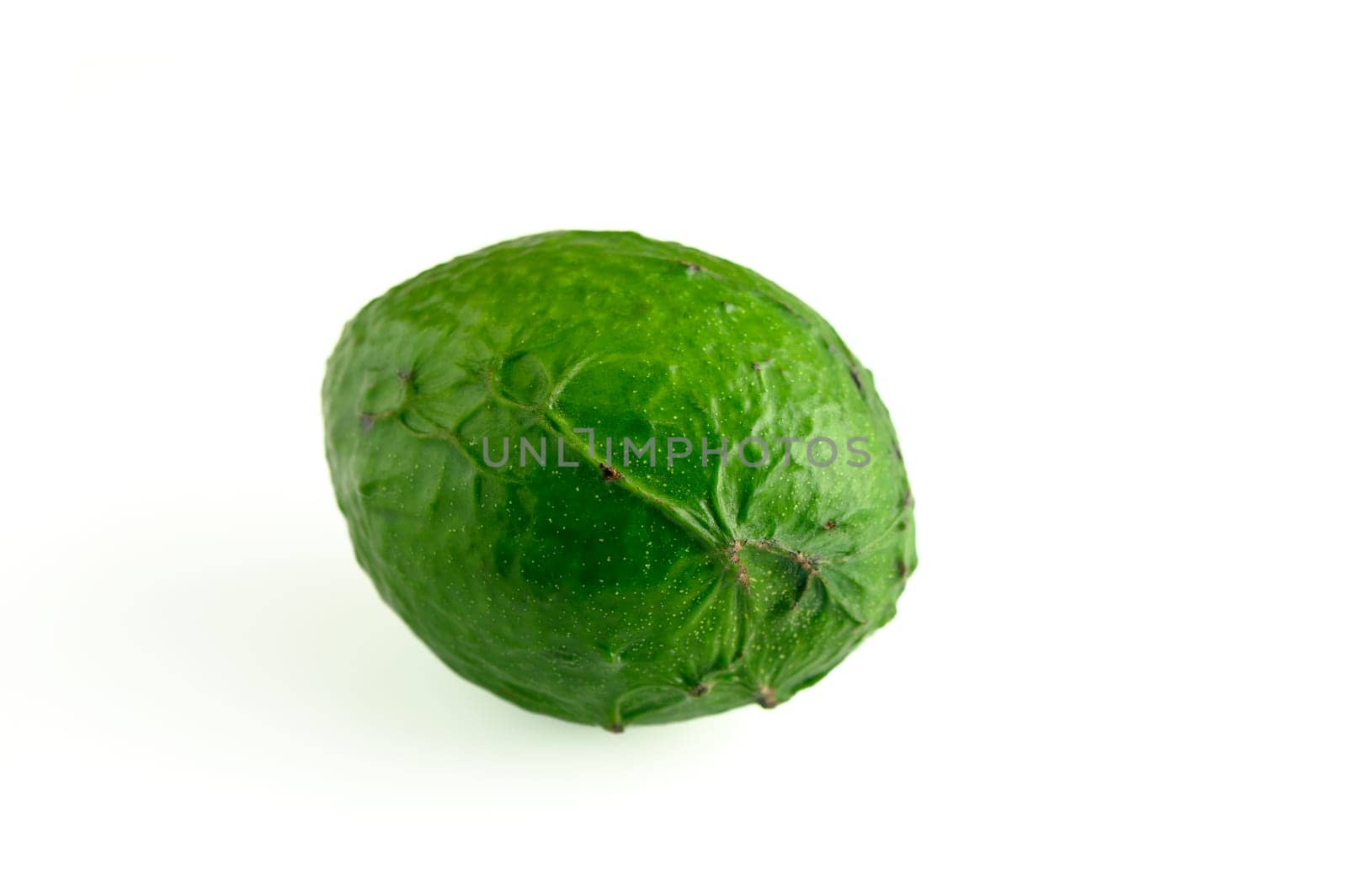 fresh avocado on white background 1