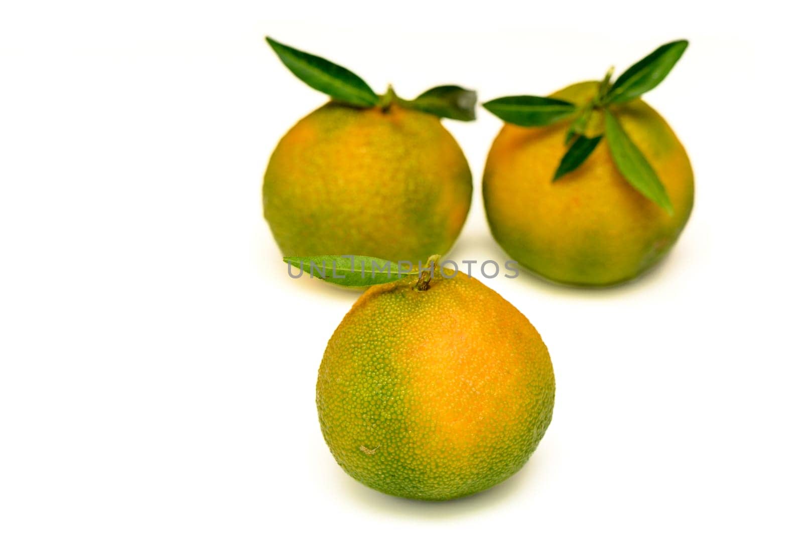 delicious fresh green-orange tangerines on a white background 5