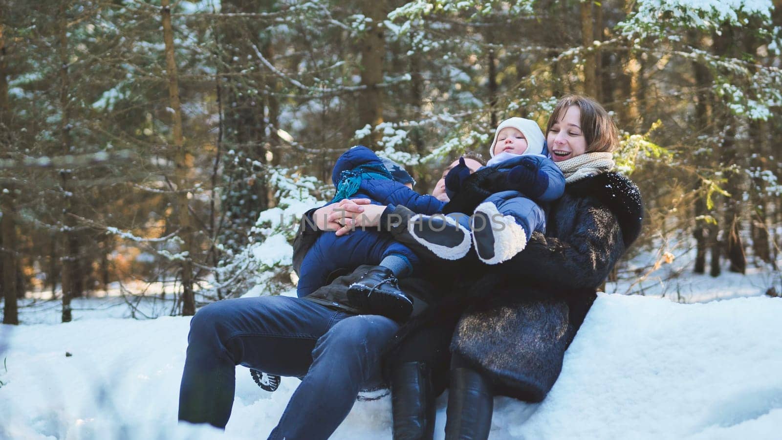 A happy family falls into a snow drift in the woods in winter