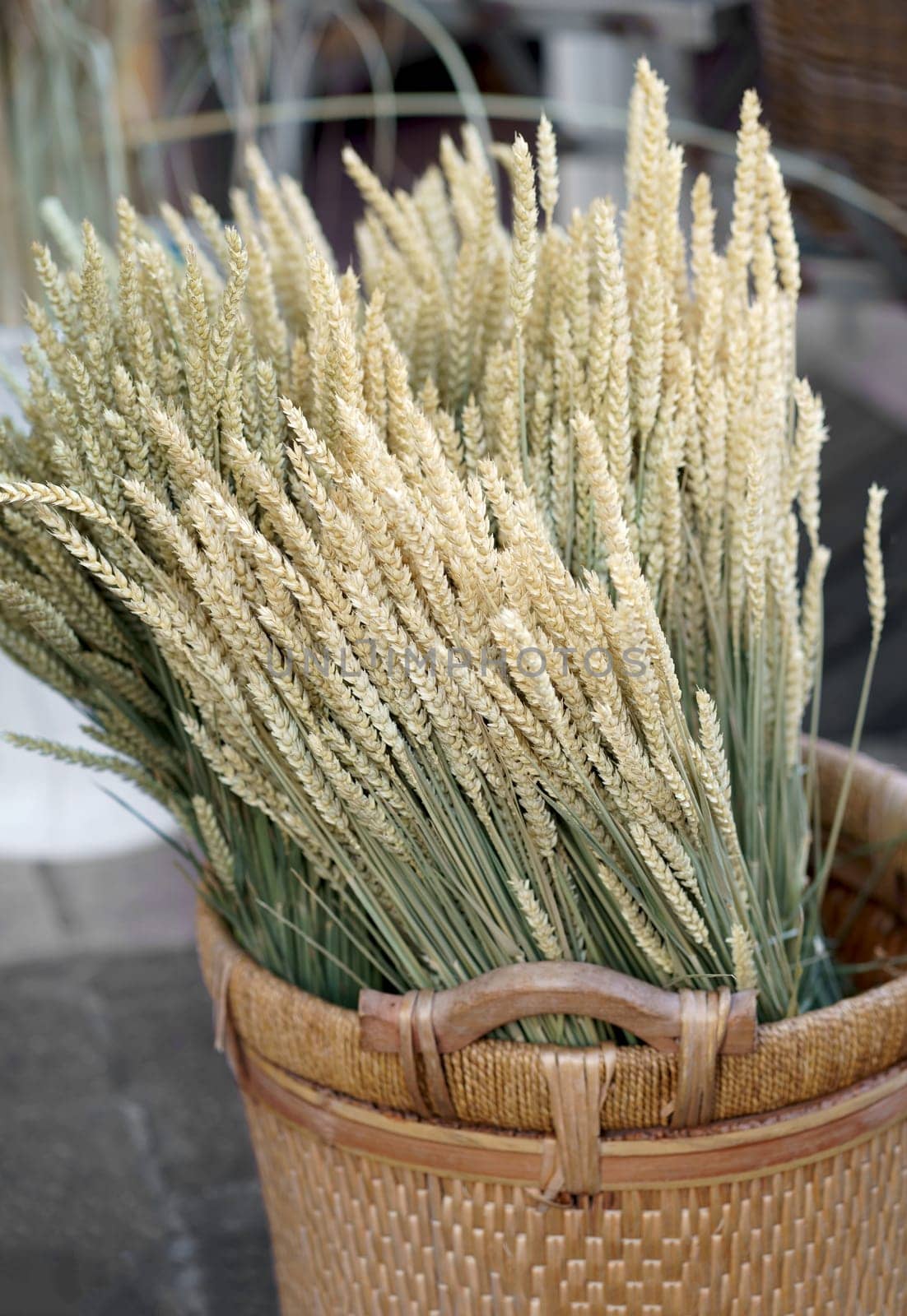 Nice. French market. ears of dry wheat for sale. Full baskets of dry ears of wheat for sale at the florist's shop. by aprilphoto
