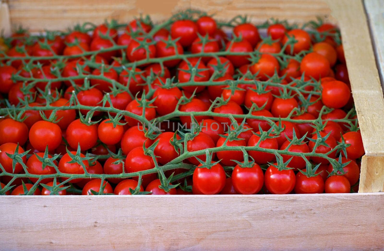 Nice. French market. Tomatoes. Tomato background. Cherry tomatoes sold in the fresh market. by aprilphoto