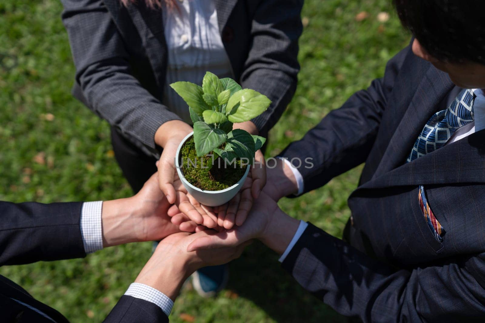 Business people holding plant or sprout together in unity as CSR commitment.Gyre by biancoblue