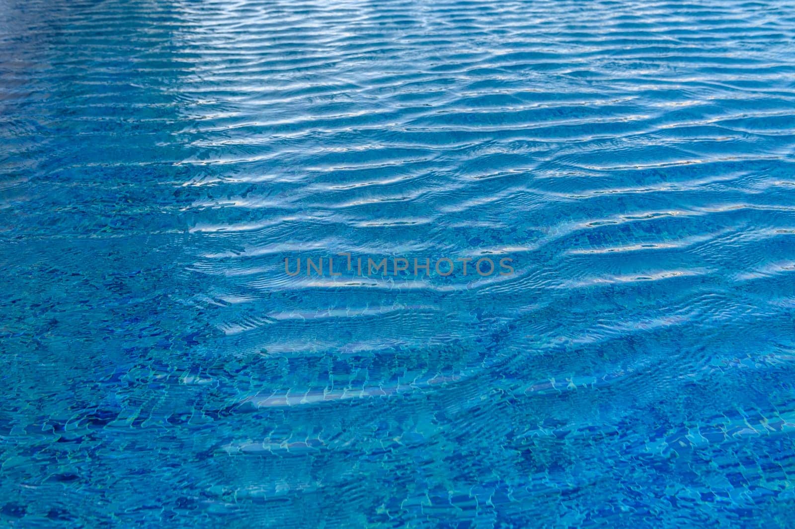 water in the swimming pool 1