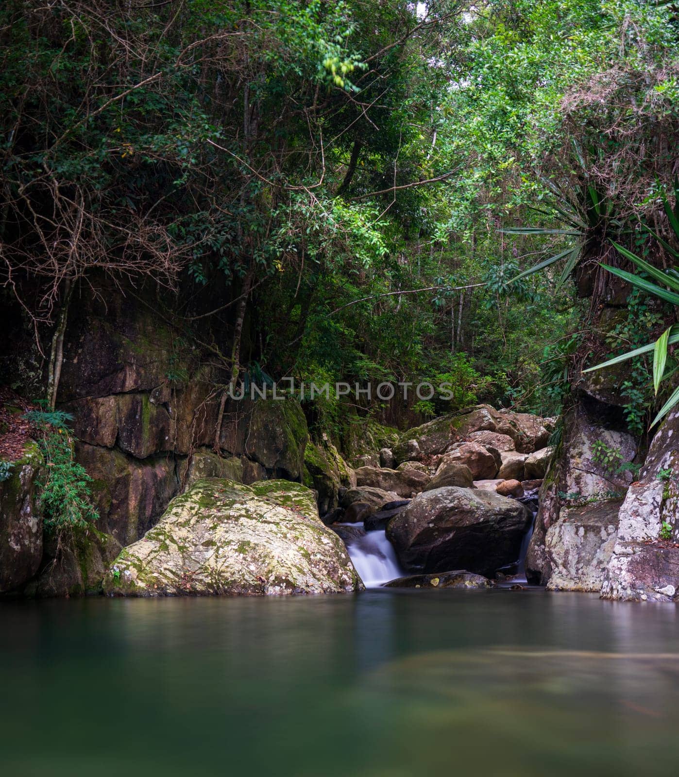 Calm Pond at the End of a Silky Water Stream Surrounded by Dense Jungle by FerradalFCG