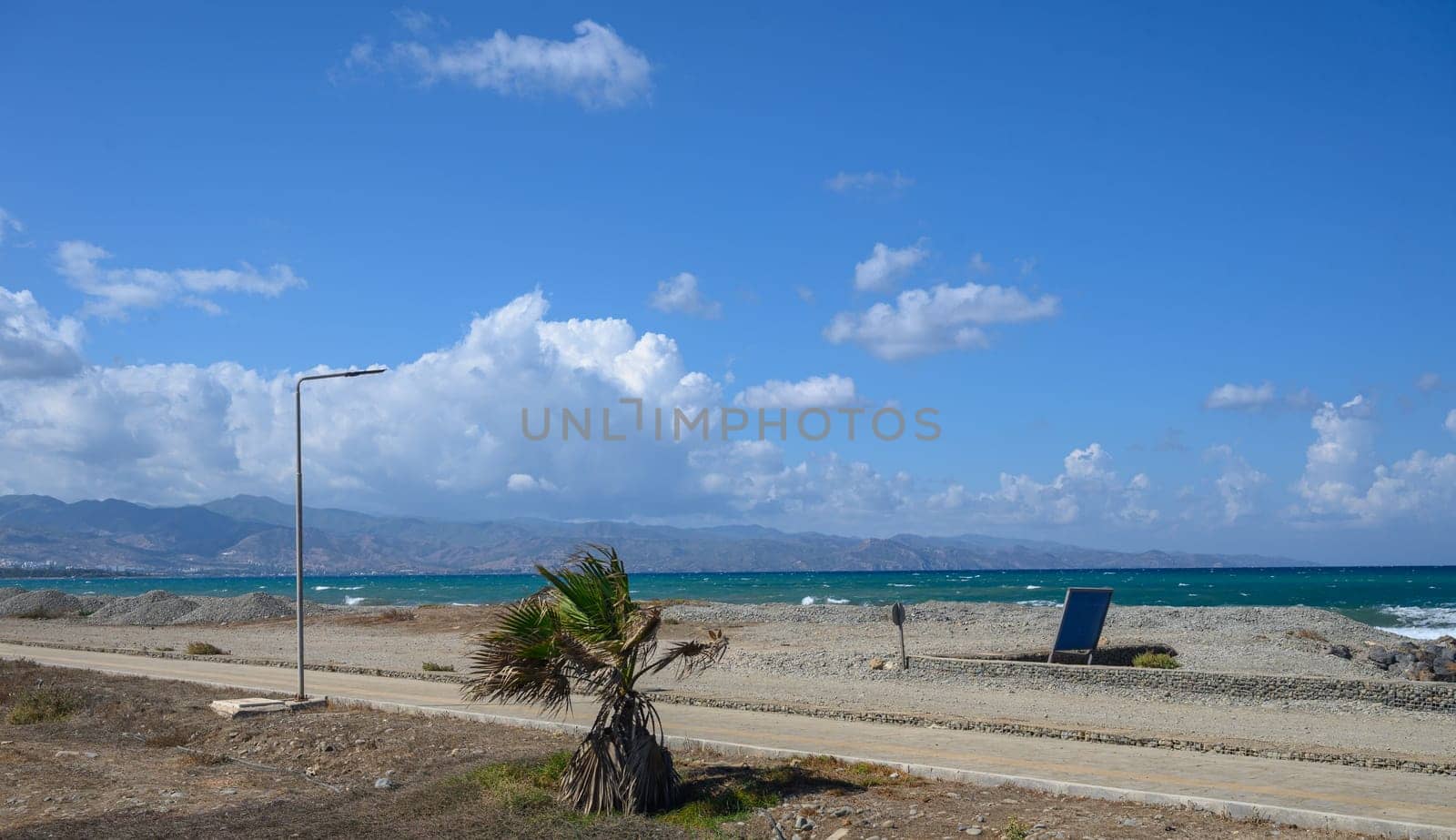 palm trees on the Mediterranean beach on a sunny day