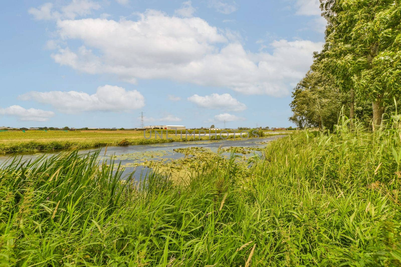 a river in the middle of a field with tall grass and trees on either side of the river is blue sky