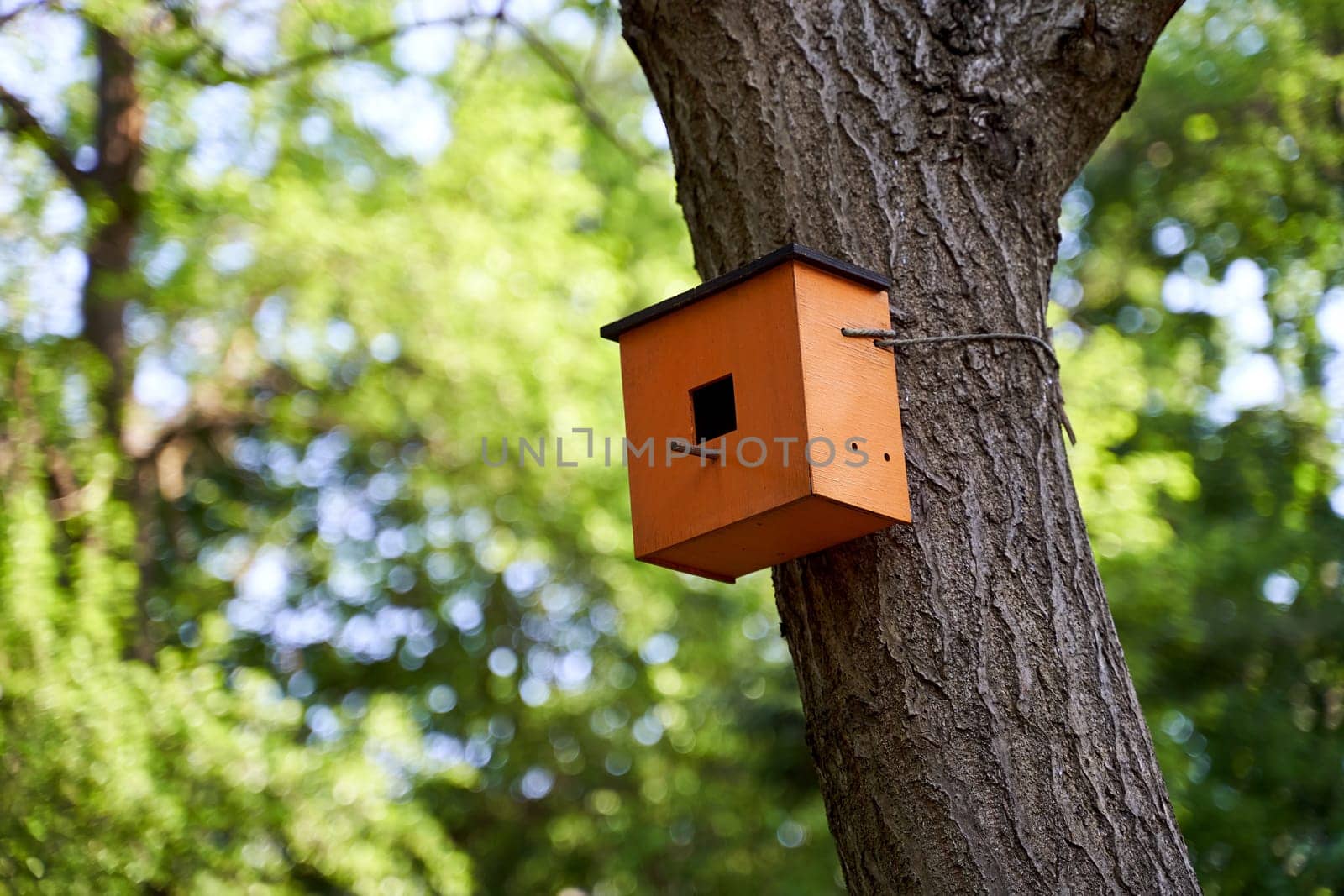 Wooden birdhouse on a tree in a park