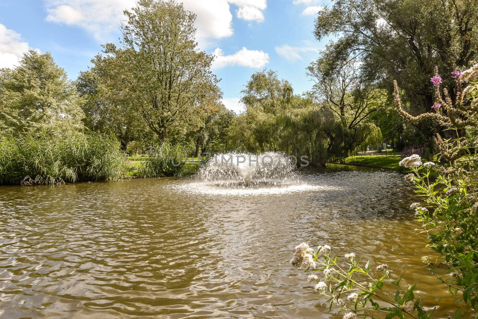 a pond with flowers and trees in the background, as seen from across the water there is a small fountain