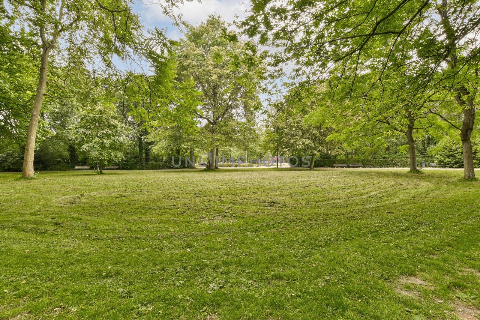 an empty park in the middle of town, with lots of green grass and trees on both sides there is a bright blue sky