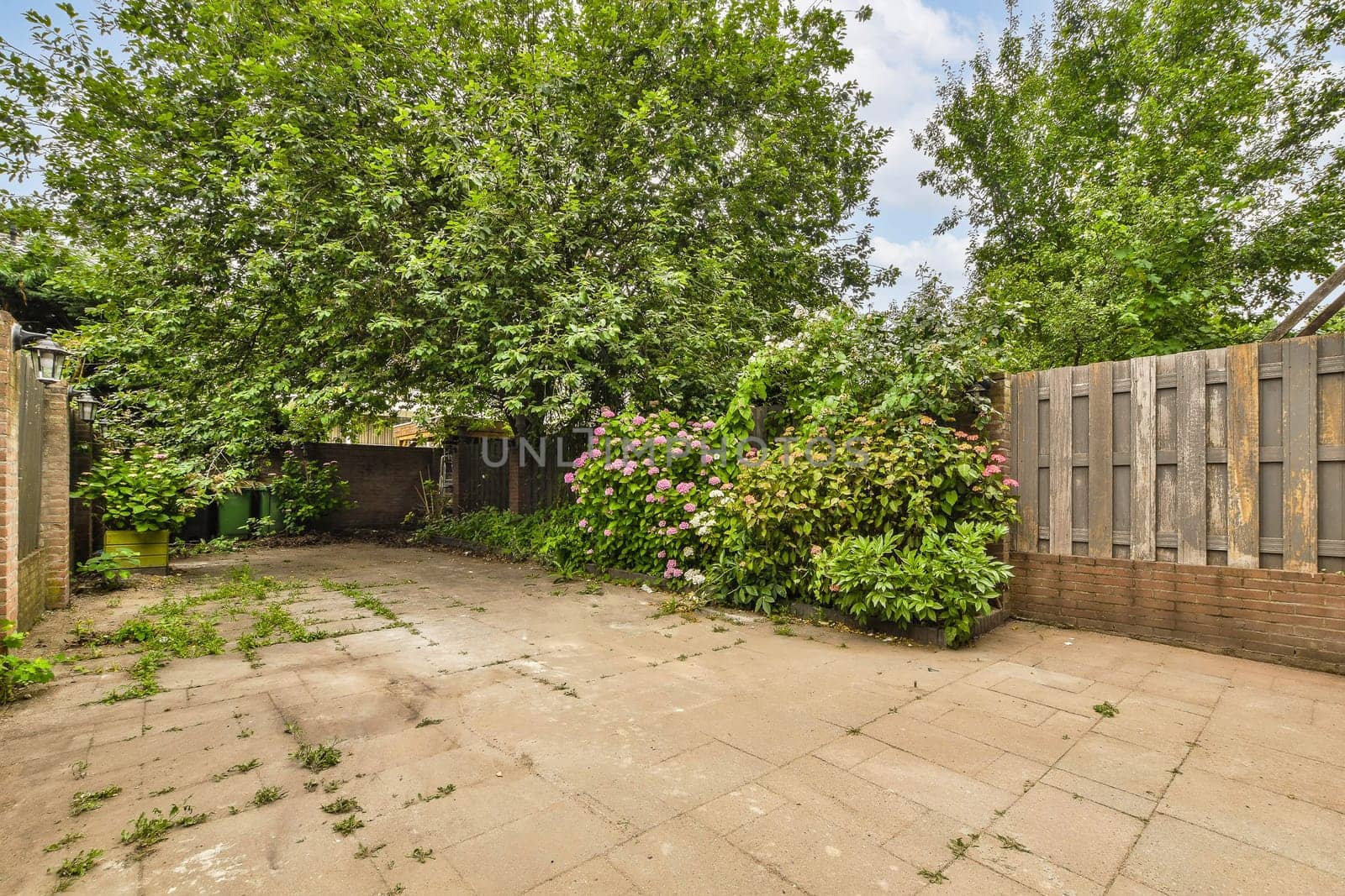 a backyard area with trees and flowers on the ground in front of an old brick fenced yard, surrounded by green foliage
