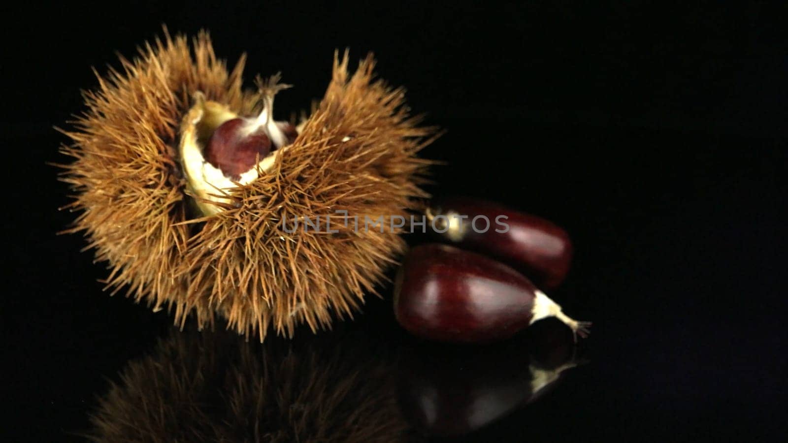 Chestnuts on a black reflective background by homydesign