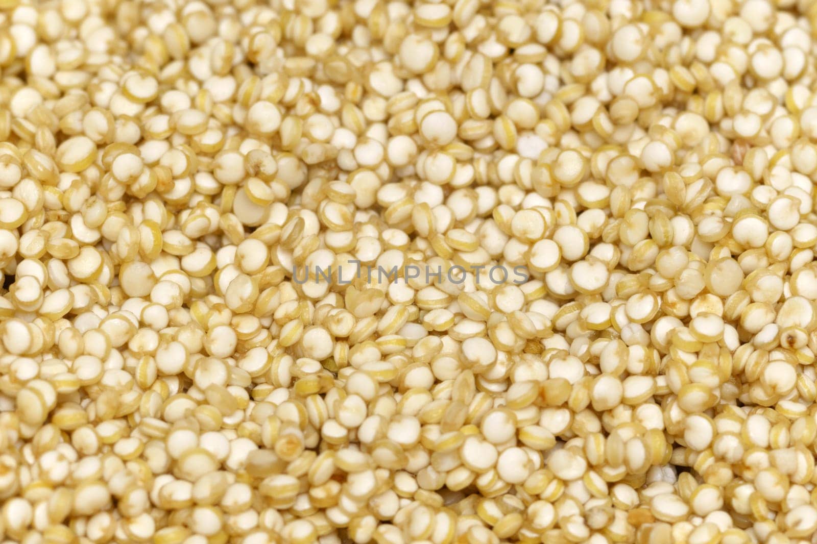 Close-up macro shot of the dry light quinoa grains lying on a flat surface. by darksoul72