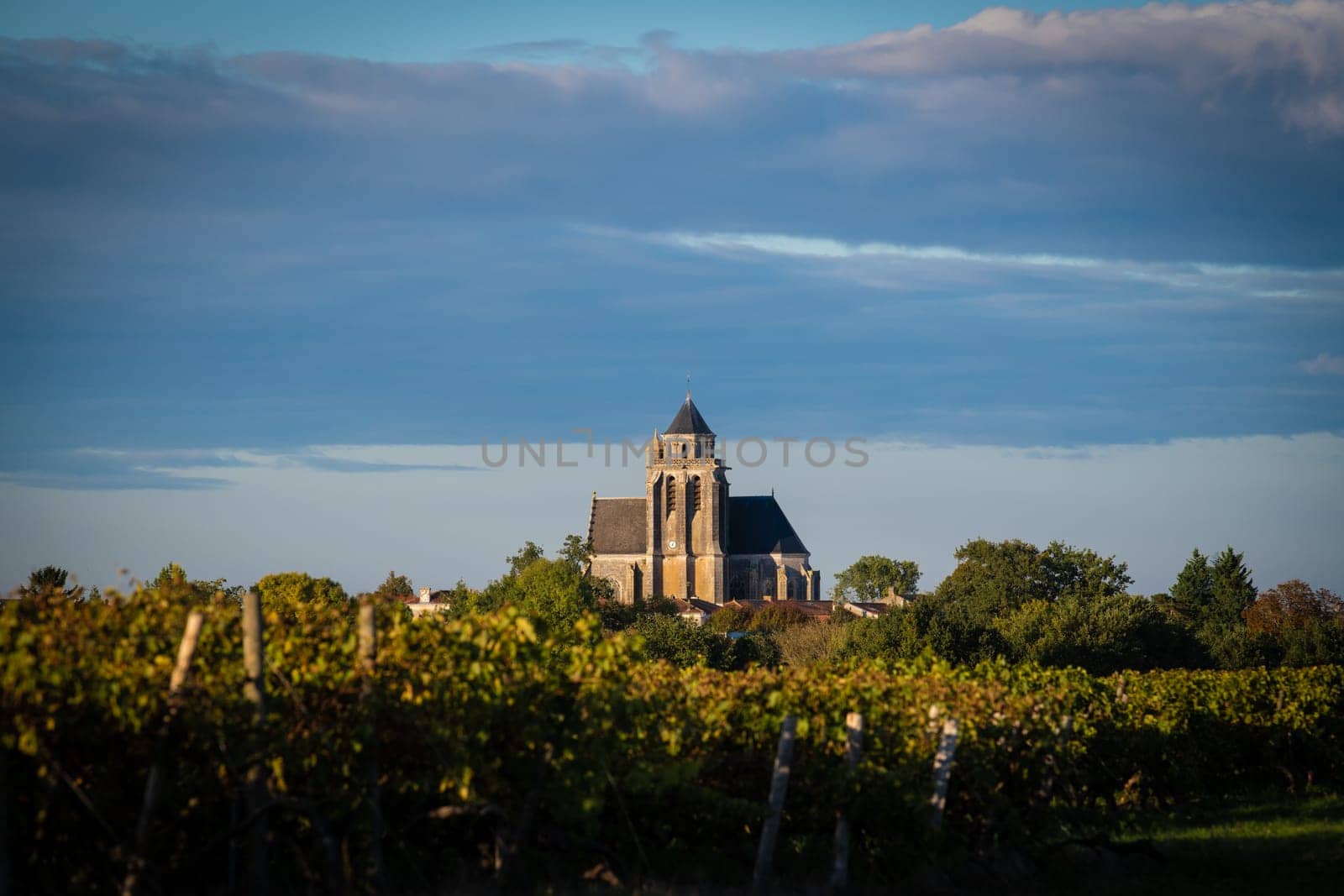 France, Charente-Martime, Lonzac Church,in Cognac Vineyards, Petite Champagne, High quality photo