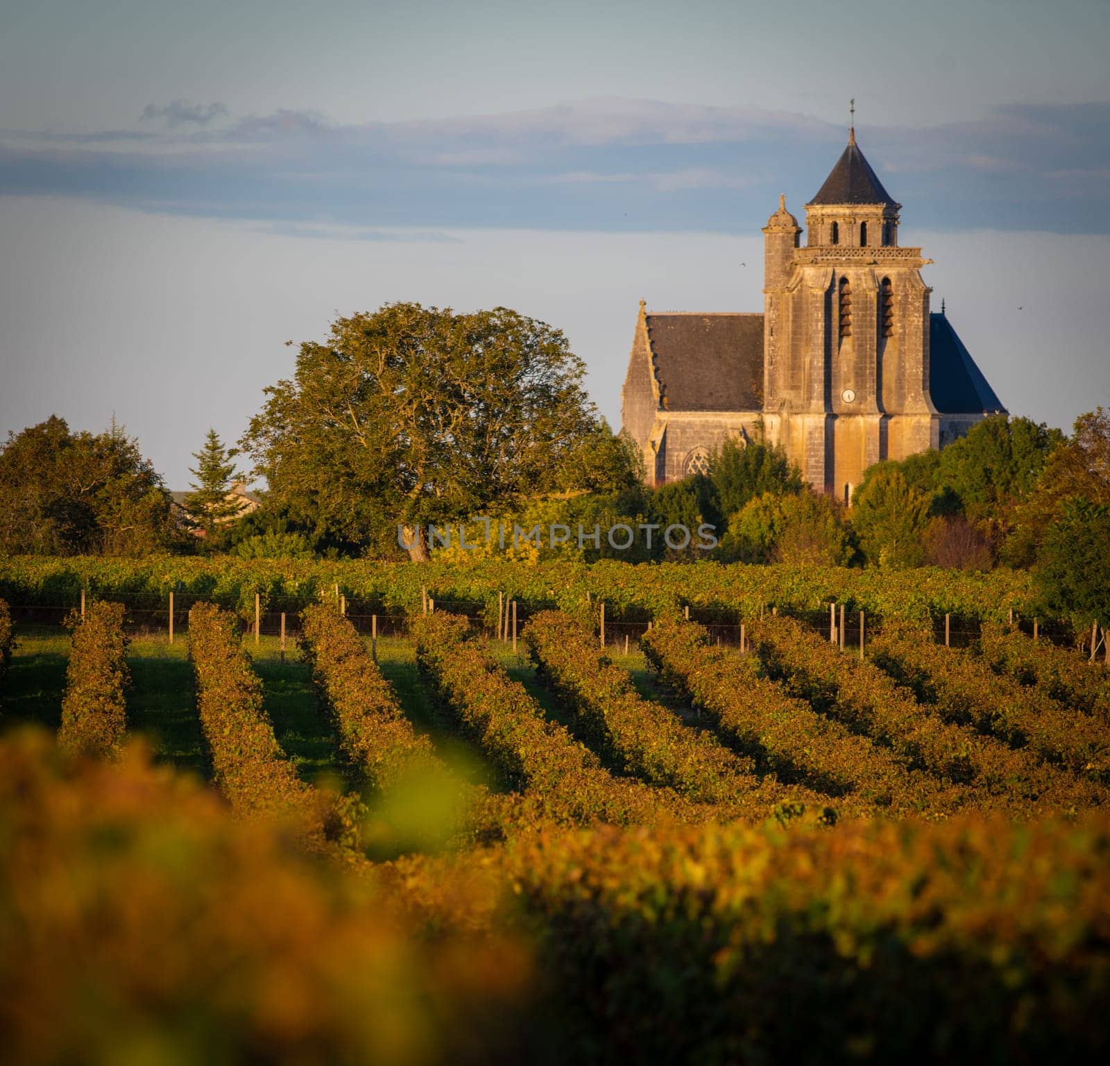 France, Charente-Martime, Lonzac Church,in Cognac Vineyards, Petite Champagne, High quality photo