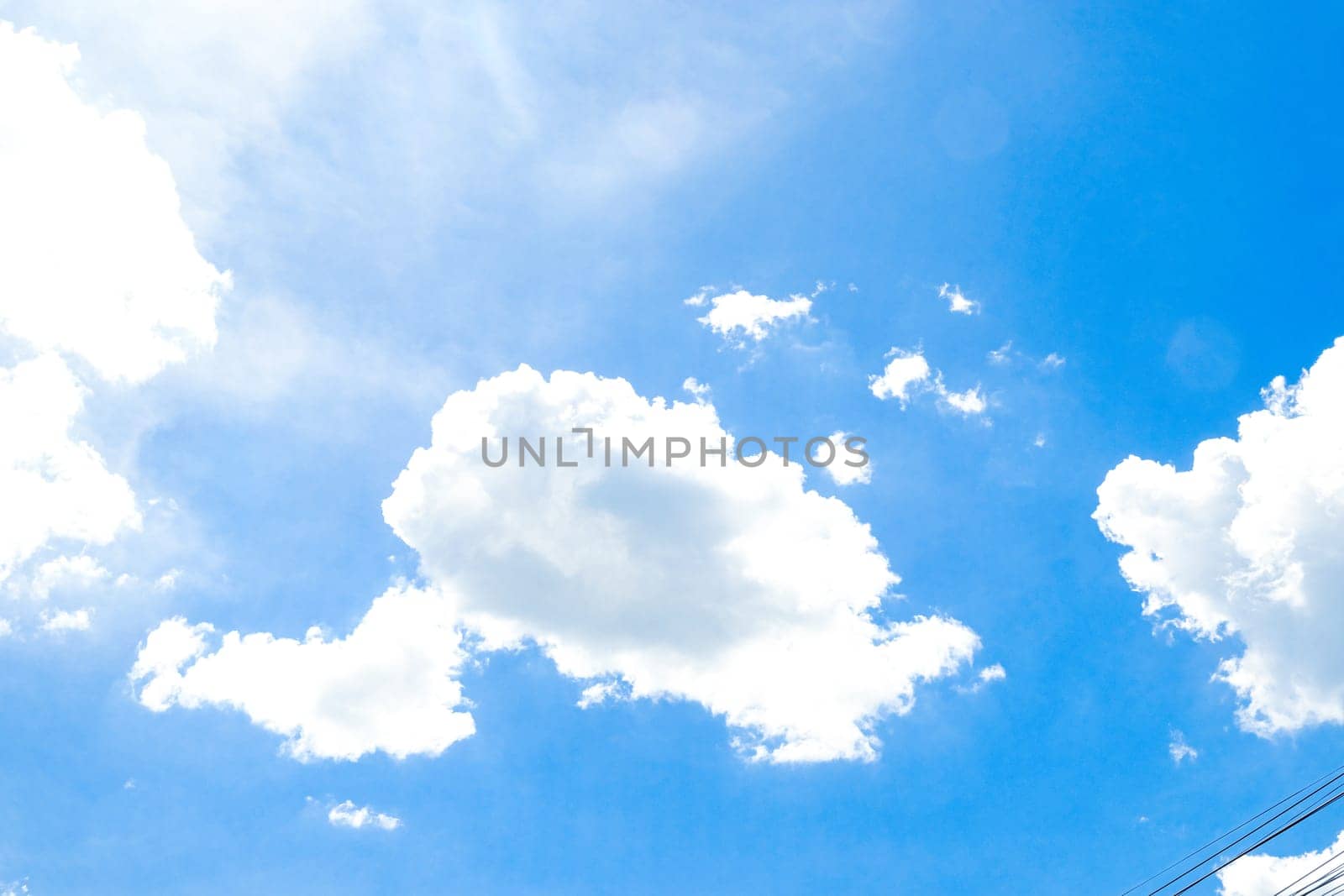 Whale Clouds: Majestic Wonders in the Fluffy Blue Summer Sky