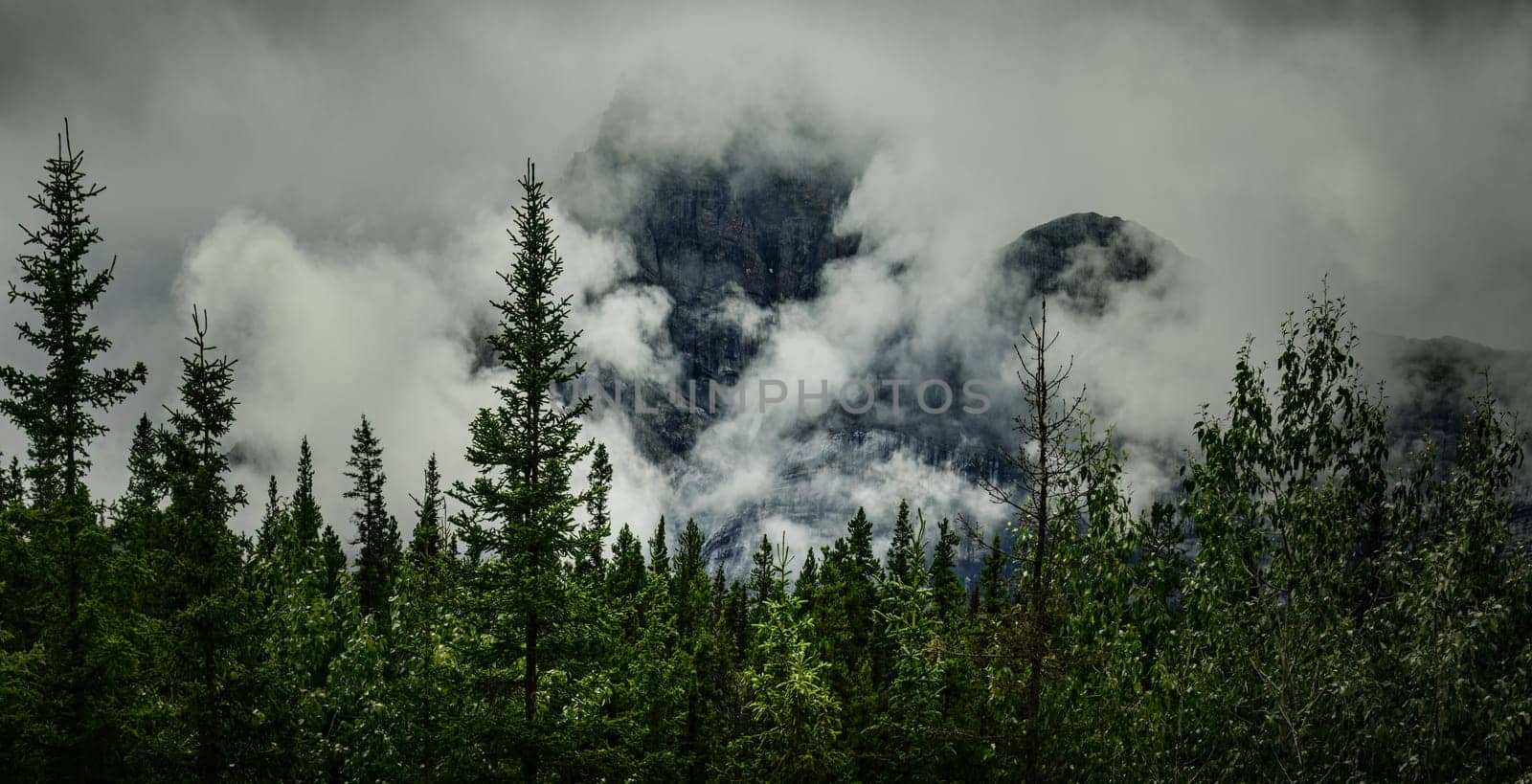 Banff Peaks in Mountain Mist by lisaldw