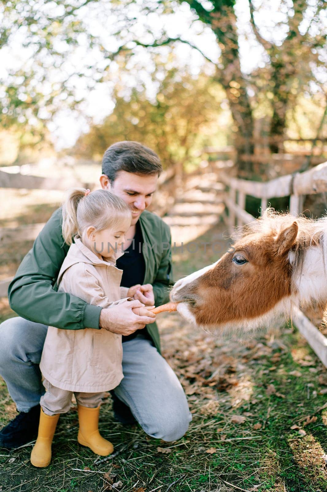 Smiling dad holding hand of little girl feeding pony through fence in park by Nadtochiy