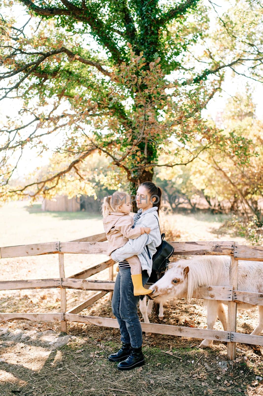 Pony sniffs the boot of a little girl sitting in her mother arms near a wooden fence in a pasture. High quality photo
