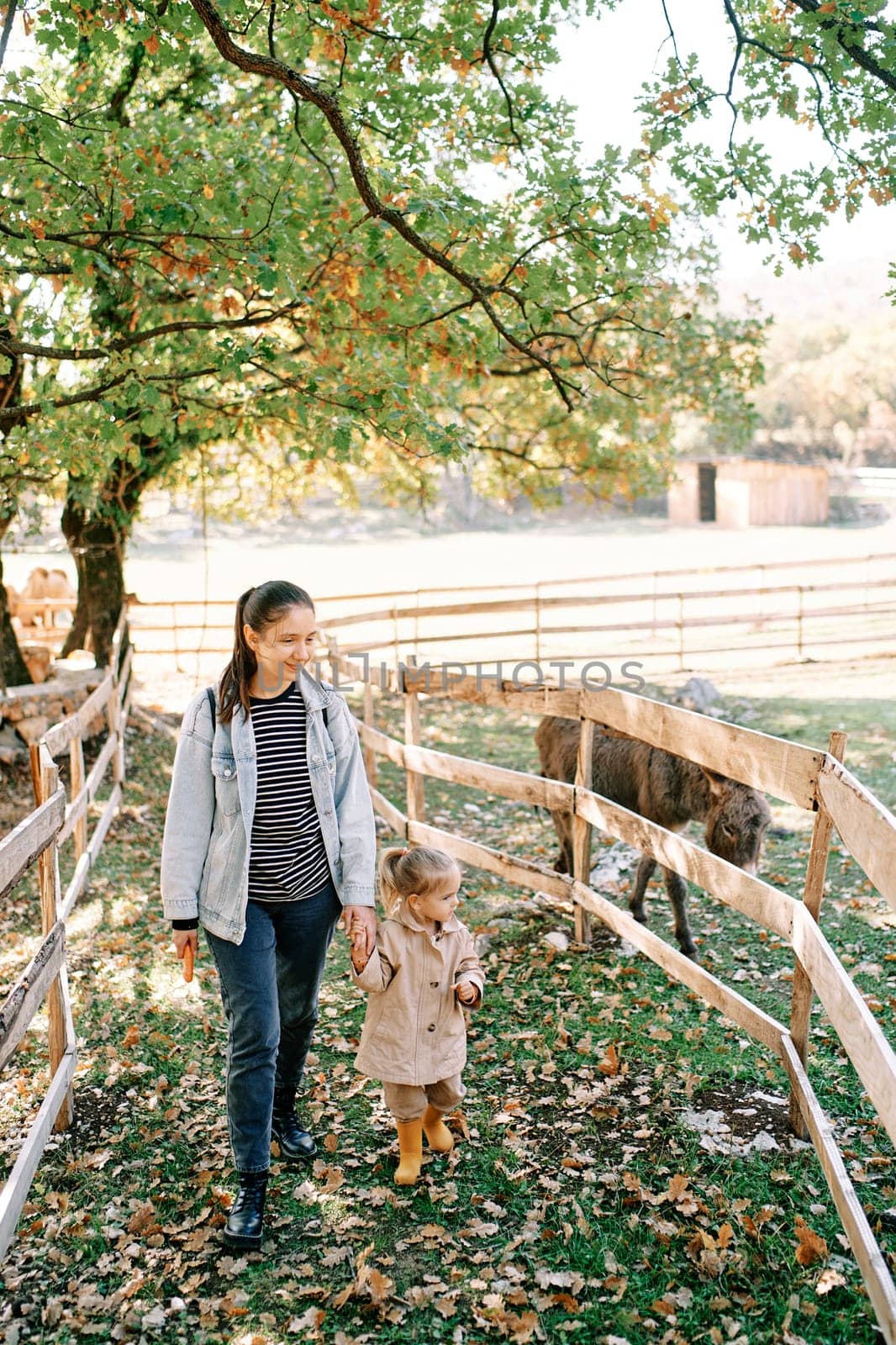 Mother and a little girl walk holding hands past the fence of a pasture with a grazing donkey. High quality photo