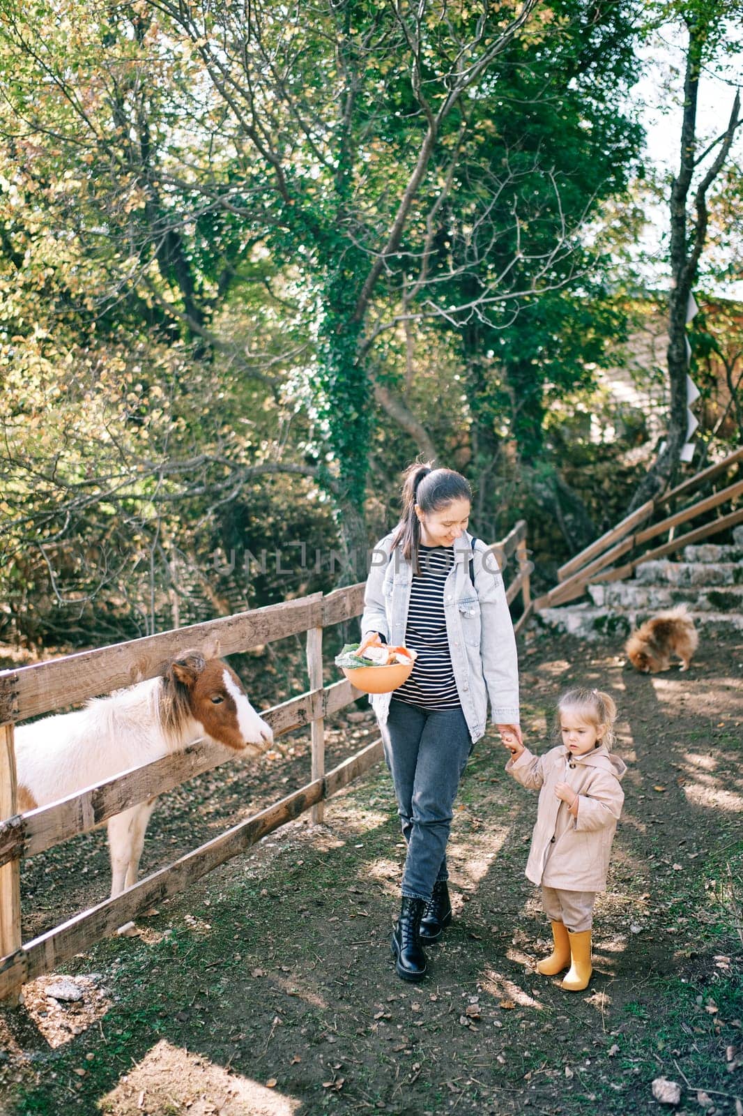 Mom and little girl stand with a bowl of pony treats behind a wooden fence on a farm by Nadtochiy