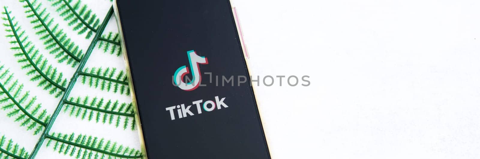 Tver, Russia-August 5, 2020, the tik tok logo on the smartphone screen on light background with a fern. Tik-Tok icon. logo of the current app. Tiktok social network.